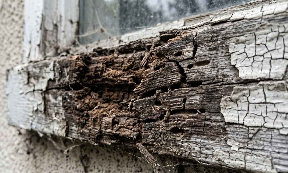 Wood rot and structural damage caused by ignored failing exterior paint