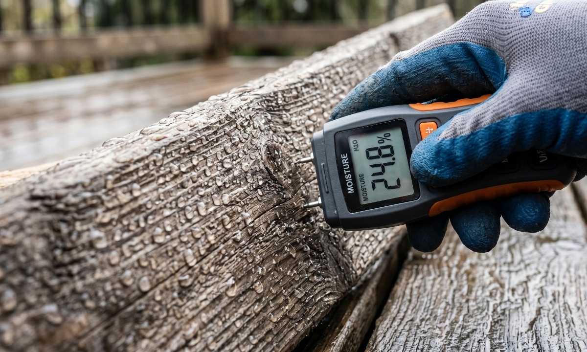 Moisture meter testing wet deck boards to check if wood is dry enough for deck staining